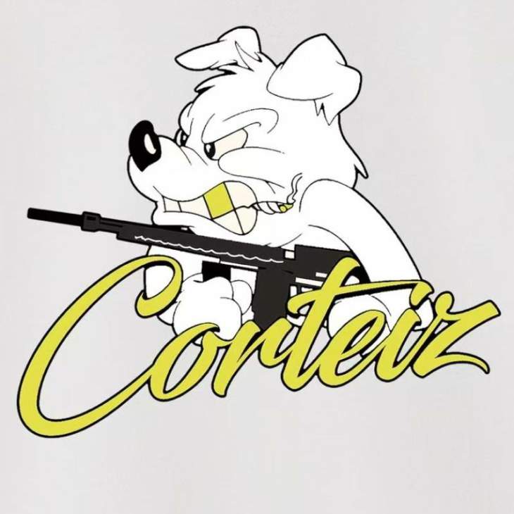 Corteiz Hoodies _SKUCorteizS-2XLastxC20542316
